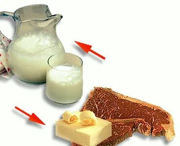 Совместимость и взаимозаменяемость продуктов и сырья