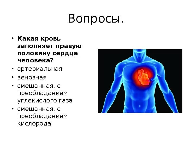 Какая кровь содержится в правой половине сердца