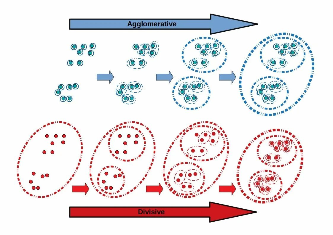 Agglomerative clustering. Кластеринг. hierarchical clustering. agglomerative clustering divisive clustering. метод локтя для agglomerative clustering.