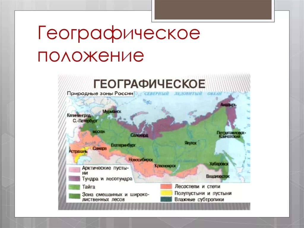 В каком направлении простирается тундра. Географическое положение лесотундры в России на карте. Лесотундра на карте России природных зон. Географическое положение природных зон России на карте. Природная зона степь географическое положение в России.