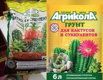 Какая земля для кактусов