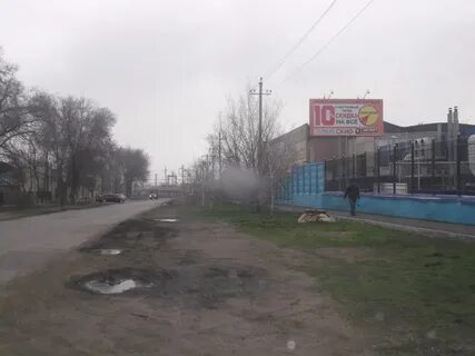 Целина сальск