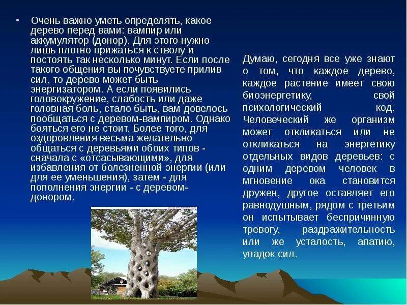 Деревья вампиры и доноры энергетические. Деревья доноры список. Деревья вампиры список. Деревья вампиры и доноры по знакам зодиака.