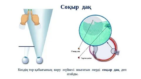 Білім беру секс сайттары