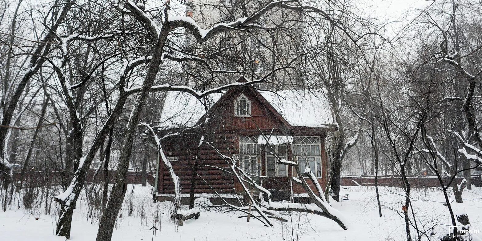 Московский старожил. Музей Алексея дикого в Новогиреево. Дача Алексея дикого. Красная дача. Новогиреево зеленая дача.