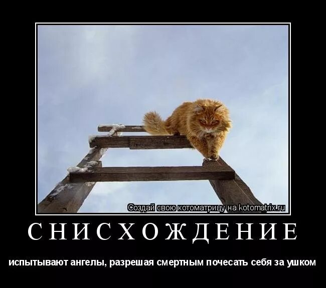 заслуживает снисхождения.