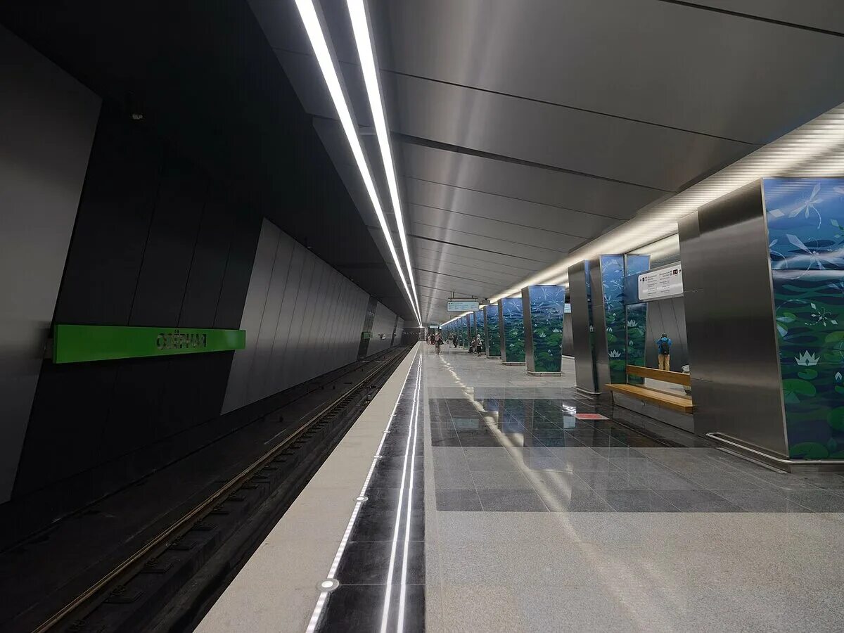 Метро озерная адрес. Станция озёрная московского метро. Станция озерная москва. Станция озерная. Метро очаково.