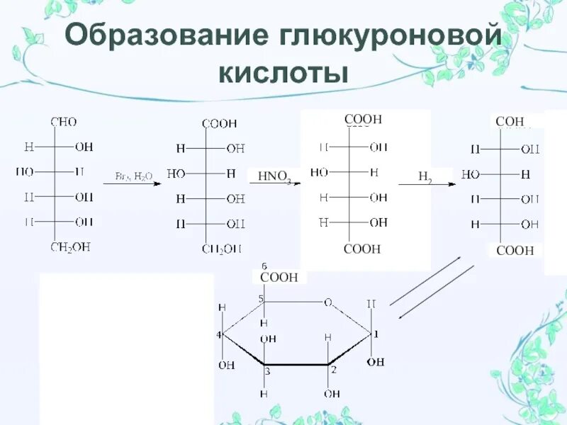 Реакция получения глюкуроновой кислоты. Образование УДФ глюкуроновой кислоты из Глюкозы. Окисление д Глюкозы до глюкуроновой кислоты. Реакция окисления Глюкозы до глюкуроновой кислоты. Реакция образования окисления глюкозы