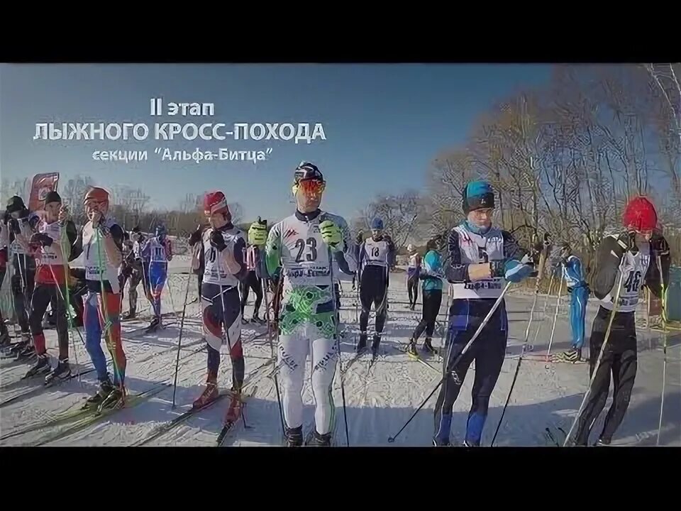 Кросс лыжников. В лыжном кроссе участвовали. В лыжной гонке участвуют 240. В лыжных гонках участвуют. В лыжном кроссе участвуют.