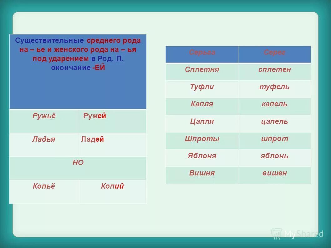 Слово помидоры в родительном падеже множественного числа