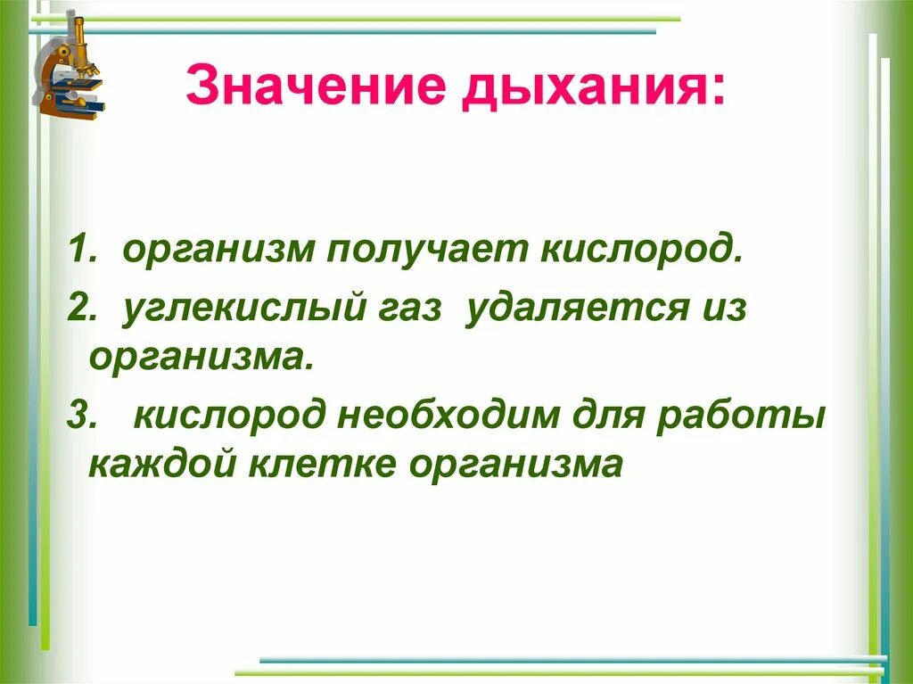 Какое значение дыхания в жизни растений. Важность дыхания. значение дыхания в жизни человека. значение дыхания кратко. значение дыхания для организма.