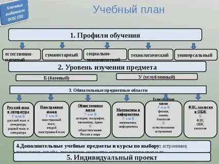 Социально экономический гуманитарный профиль