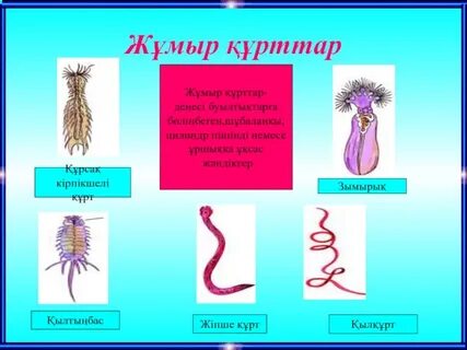 Орыс тіліндегі бейне