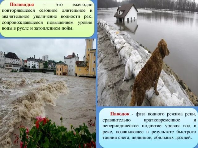 Кратковременный подъем уровня воды в реке вызванный. Кратковременное повышение уровня воды в реке. Паводок фаза водного режима. Паводок фаза водного режима реки. Фазы половодья.