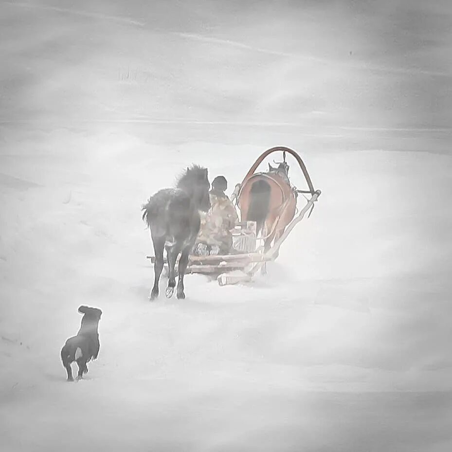 Художник грузинский петр николаевич тройка в метель. Петр николаевич грузинский тройка. В той степи глухой замерзал ямщик. Сверчков николай егорович (1817-1898). Петр николаевич грузинский (1837-1892).