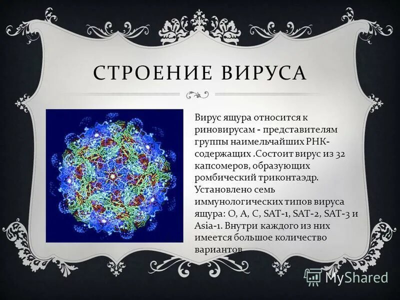 Вирус ящура. Вирус ящура. Возбудитель ящура микробиология. Возбудителем ящура является. Вирус ящура.