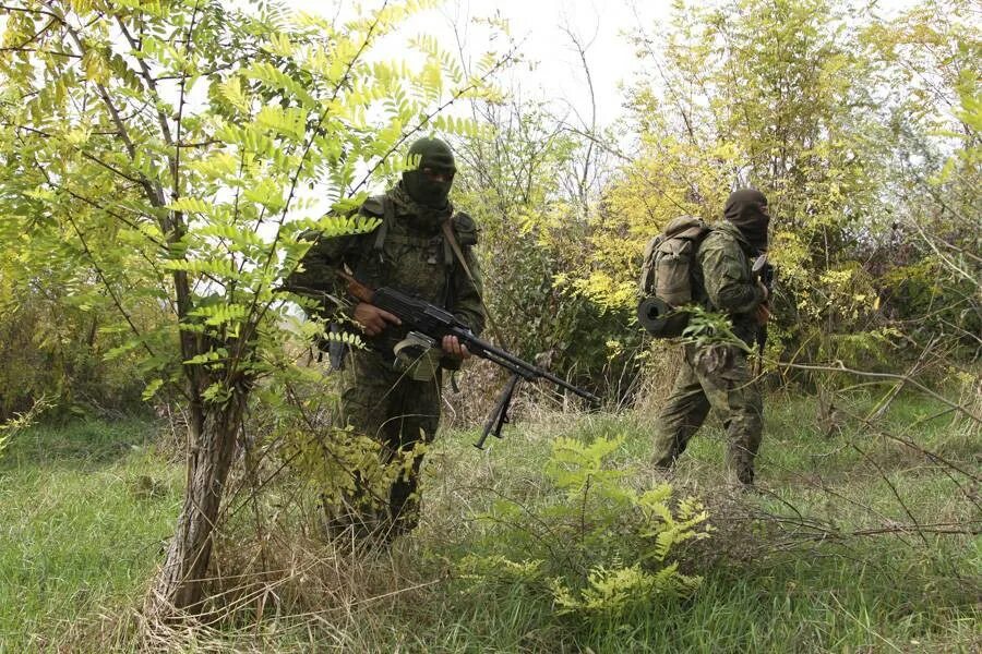 Спецназ разведка. Спецназ разведки РФ. Спецназ гру разведка в лесу. Военные в лесу. Сбежавшие разведчики