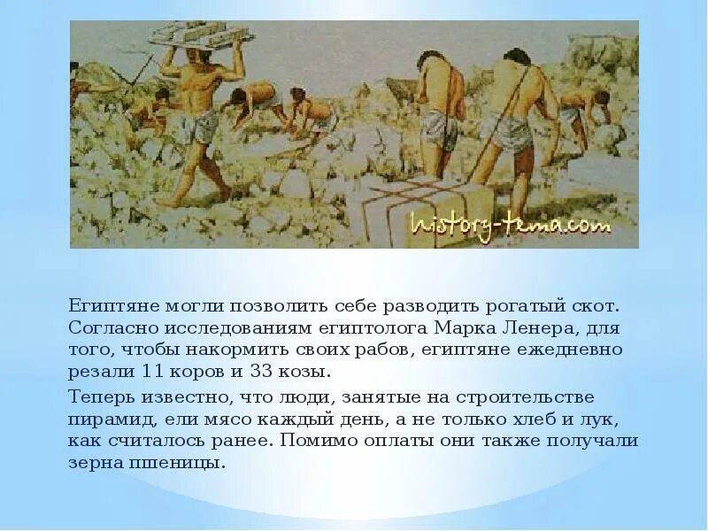 Рассказ о жизни раба. Рабы в Египте. Пища рабов в древнем Египте. Рабы в древнем Египте. Скот в древнем Египте.