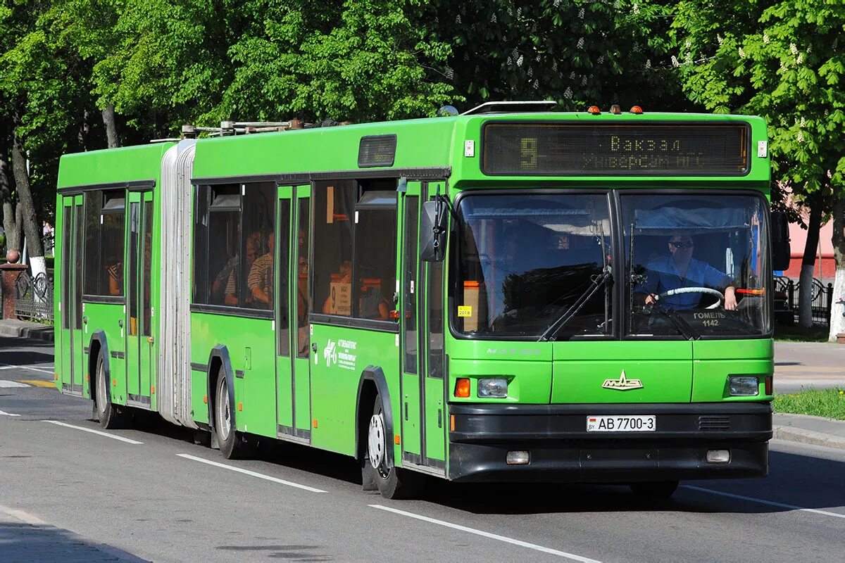 Автобус шестьдесят пятый. Маз 105. автобус маз 105. маз 105 автобус гармошка. маз-105-060 (гор. 150 мест).