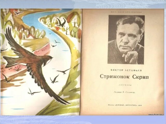 Рассказ стрижонок скрип автор астафьев. Стрижонок Стриж. Иллюстрация к произведению Стрижонок скрип. В П Астафьев Стрижонок скрип.