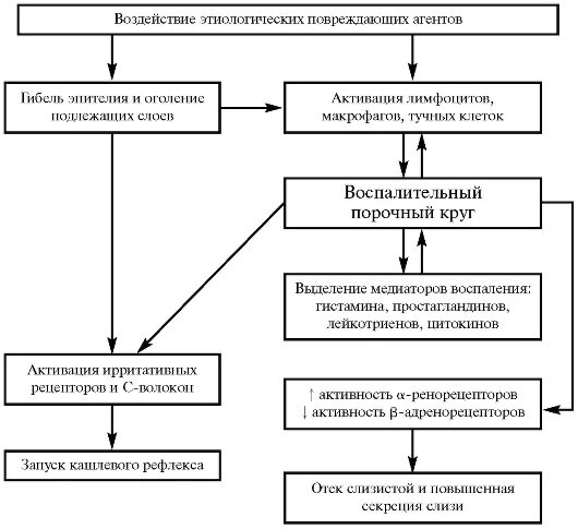 Схема бронхита. Острый бронхит патогенез схема. Патогенез бронхита схема. Острый бронхит механизм развития. Патогенез бронхита у детей схема.