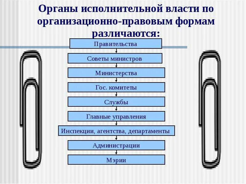 Организационно-правовая форма исполнительной власти. Органы исполнительной власти по организационно правовой форме. Организационно-правовые формы органов государственной власти. Федеральные органы исполнительной власти правовые формы. Организационно правовая форма органа государственной власти