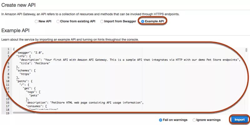 API пример. API examples. Заголовок API запроса. API как выглядит пример.