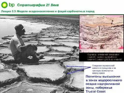 21 век лекции
