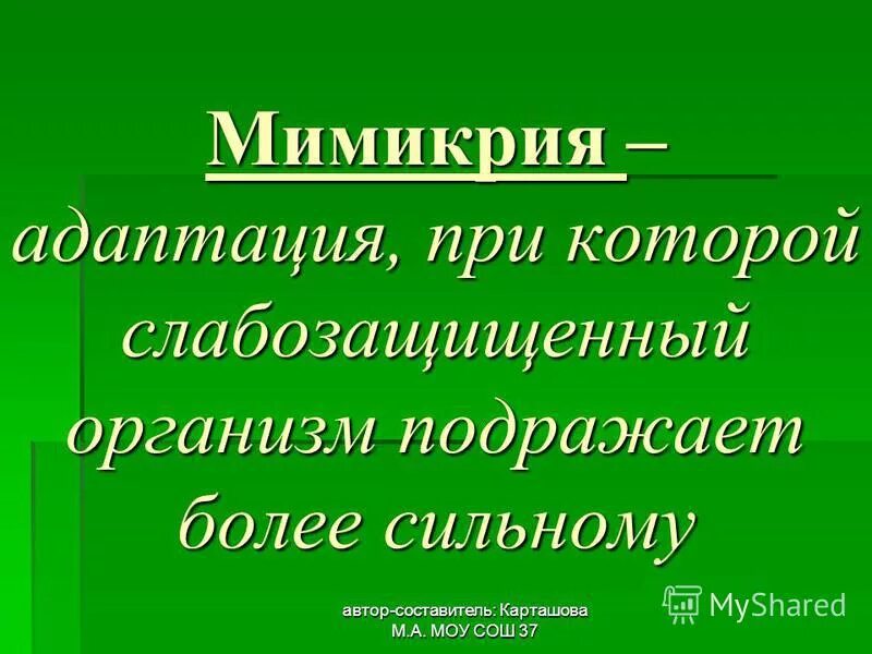 борьба за существование это адаптация. адаптация мимикрия примеры животных. мимикрия примеры адаптации. адаптация мимикрия. виды мимикрии у животных.