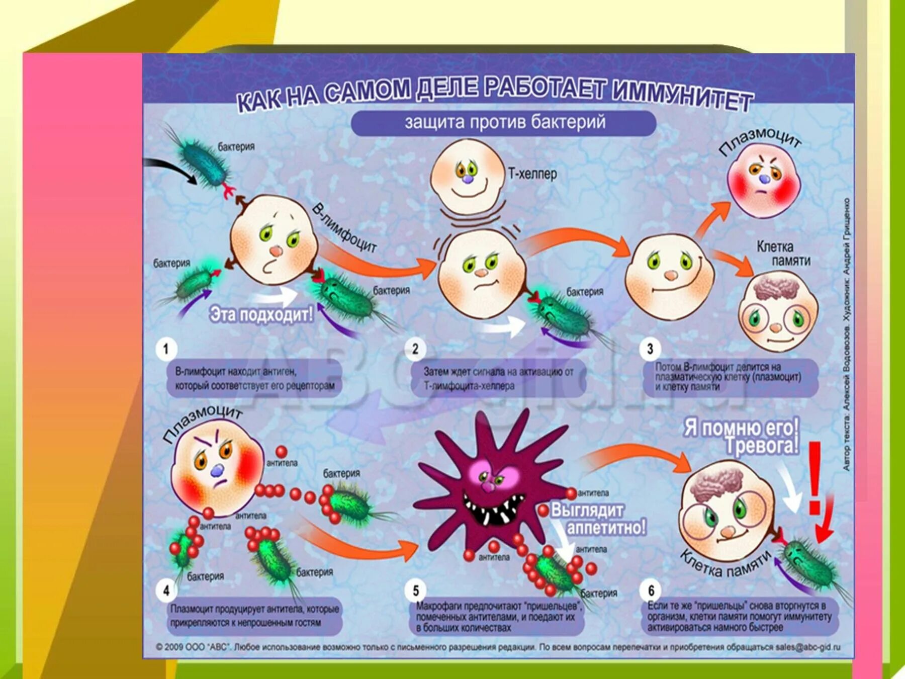 Плакат на тему иммунитет. Иммунитет против вирусов. Рисунок на тему иммунитет. Вирусы против бактерий.