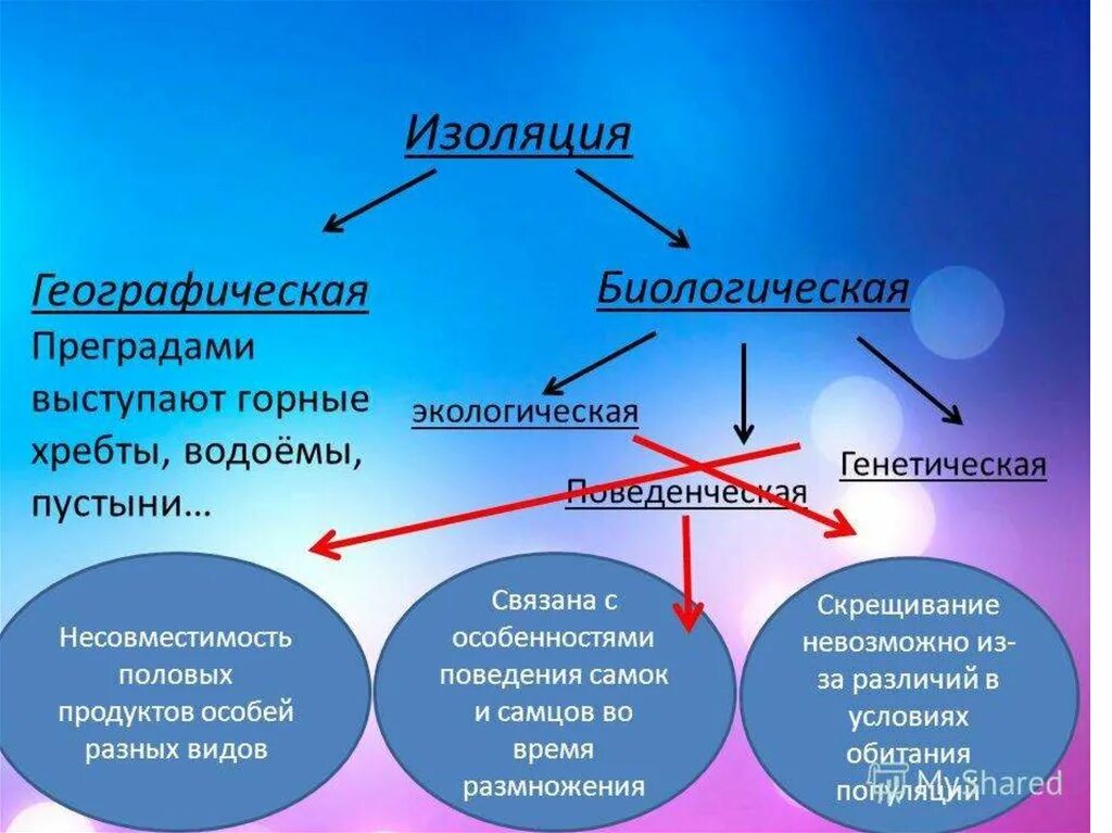 Результат ослабления репродуктивной изоляции между видами. Генетическая изоляция примеры. Географической, экологической и биологической изоляции.. Примеры генетической изоляции в биологии. Изоляция географическая и биологическая.