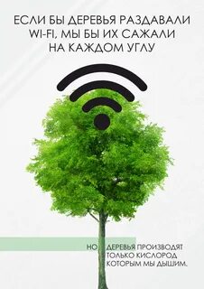 Не будет деревьев не будет жизни