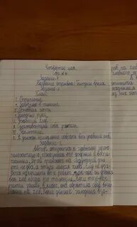 Вопросы по рассказу хлеб для собаки