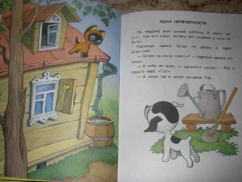 Сказка одни неприятности. Остер котенок по имени гав. Остера котенок по имени гав. Сказка про гав гав. Стихотворение про котенка гав.