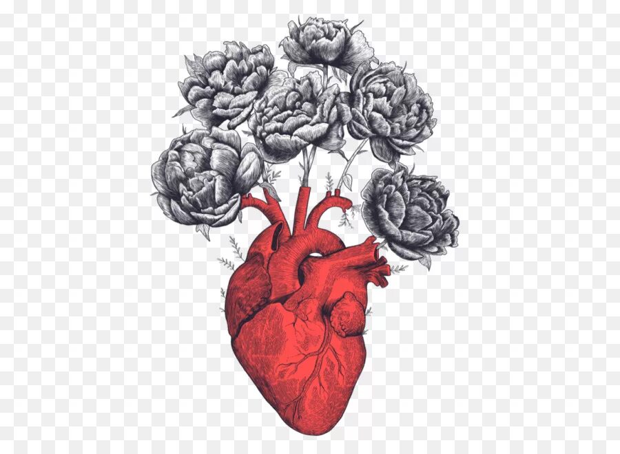 Tuned heart. Человеческое сердце в цветах. Человеческое сердце рисунок. Анатомическое сердце с цветами.