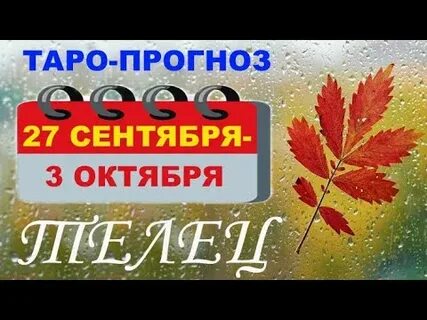 С 27 сентября по 3 октября