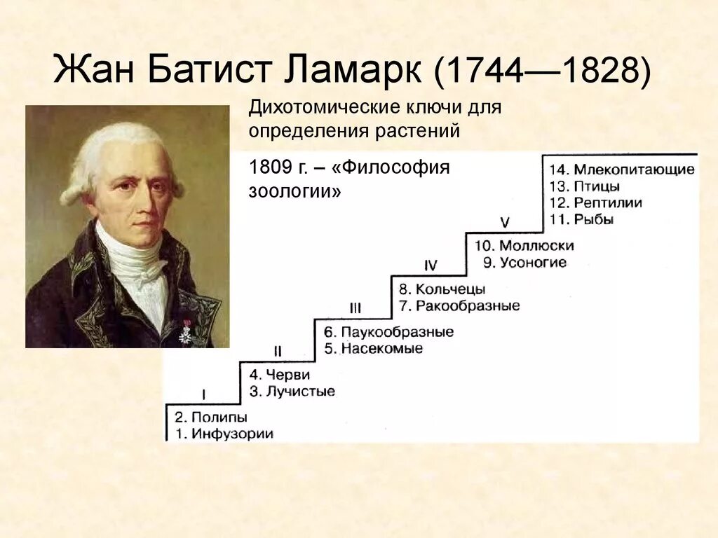 Какой вклад в биологию внес ламарк. Жан батист ламарк портрет. жан батист ламарк вклад в биологию. ж б ламарк вклад в биологию. ж.б. ламарк (1744-1829).