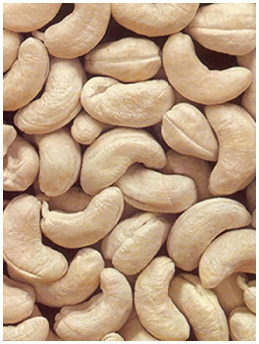 кешью. кардол кешью. кешью. кешью w320 1 кг. кешью сырой.