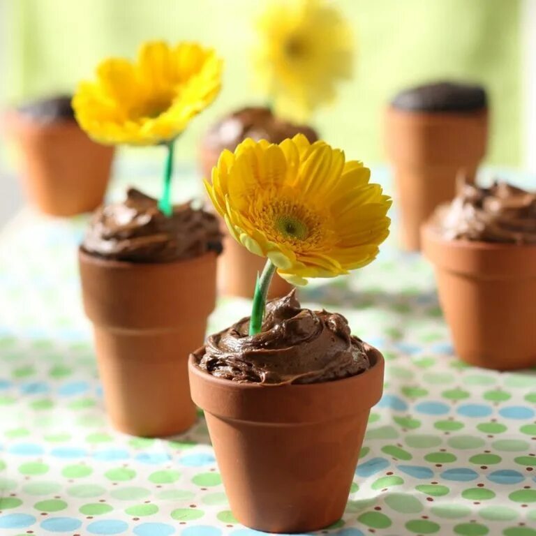 съедобные цветочные горшки. шоколадные горшочки. шоколадные горшочки с цветами. шоколадные горшочки с цветами и фруктами. десерт шоколадный горшок.