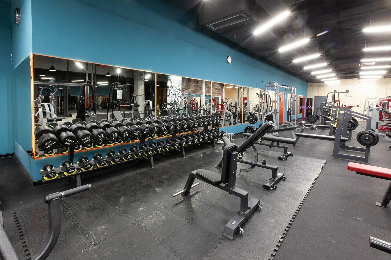 абонемент в фитнес в рыбацком. фитнес фэмили на типанова. абонемент в фитнес в рыбацком. кустодиева 11 фитнес клуб. тренажерный зал рыбацкое.