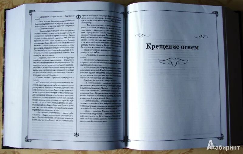 Цеховик книга 13 тени грядущего