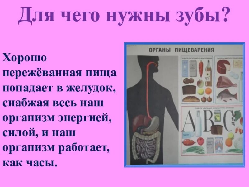 Почему пищу следует тщательно пережевывать. Почему пищу надо тщательно пережевывать. Почему нужно хорошо пережевывать пищу. Пищу необходимо тщательно пережевывать. Зачем нужно тщательно пережевывать?.