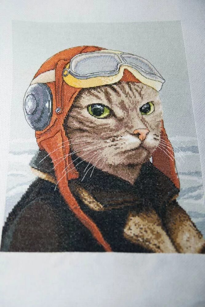 Кот в шлеме. Коты авиаторы. Котик в самолете. Котик в самолете. Кот летчик.