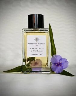 Essential parfums vanilla