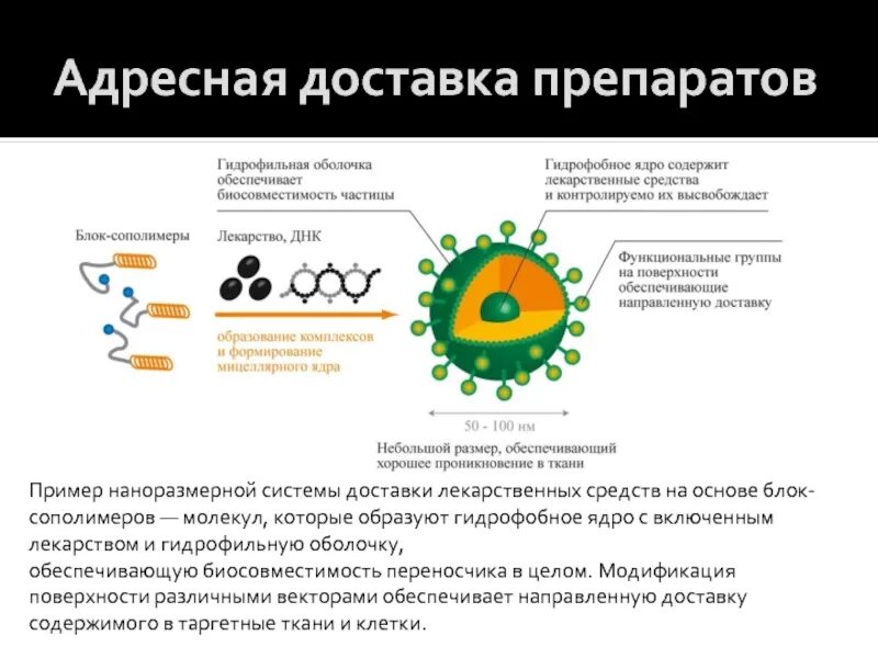 Системы доставки лекарственных средств. Адресная доставка лекарств наночастицы. Наночастицы для доставки лекарств. Адресная доставка лекарственных средств. Доставка лекарств работа