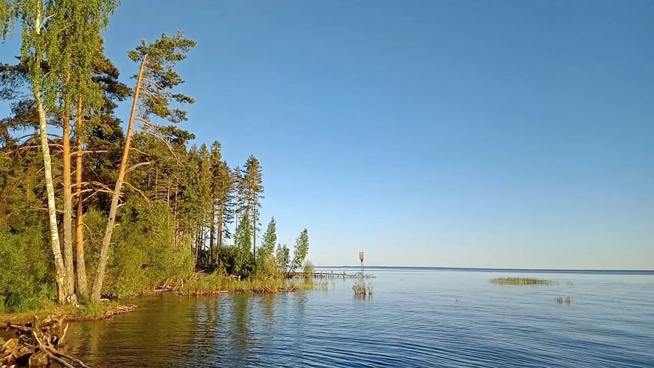 Рыбинское водохранилище снять. Рыбинское водохранилище вичелово. рыбинское водохранилище веретье. череповец вичелово рыбинское водохранилище. сосновые берега рыбинского водохранилища.