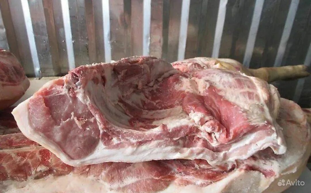 Мясо мангалицы полутушах. Мясо домашних свиней