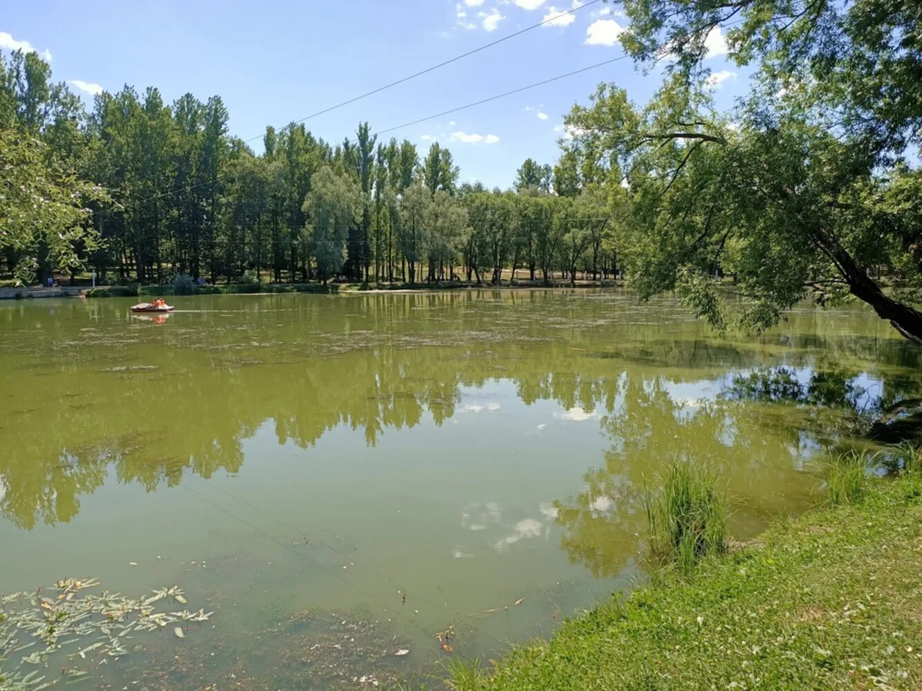 Водоемы домодедово