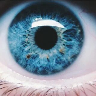 Day eyes