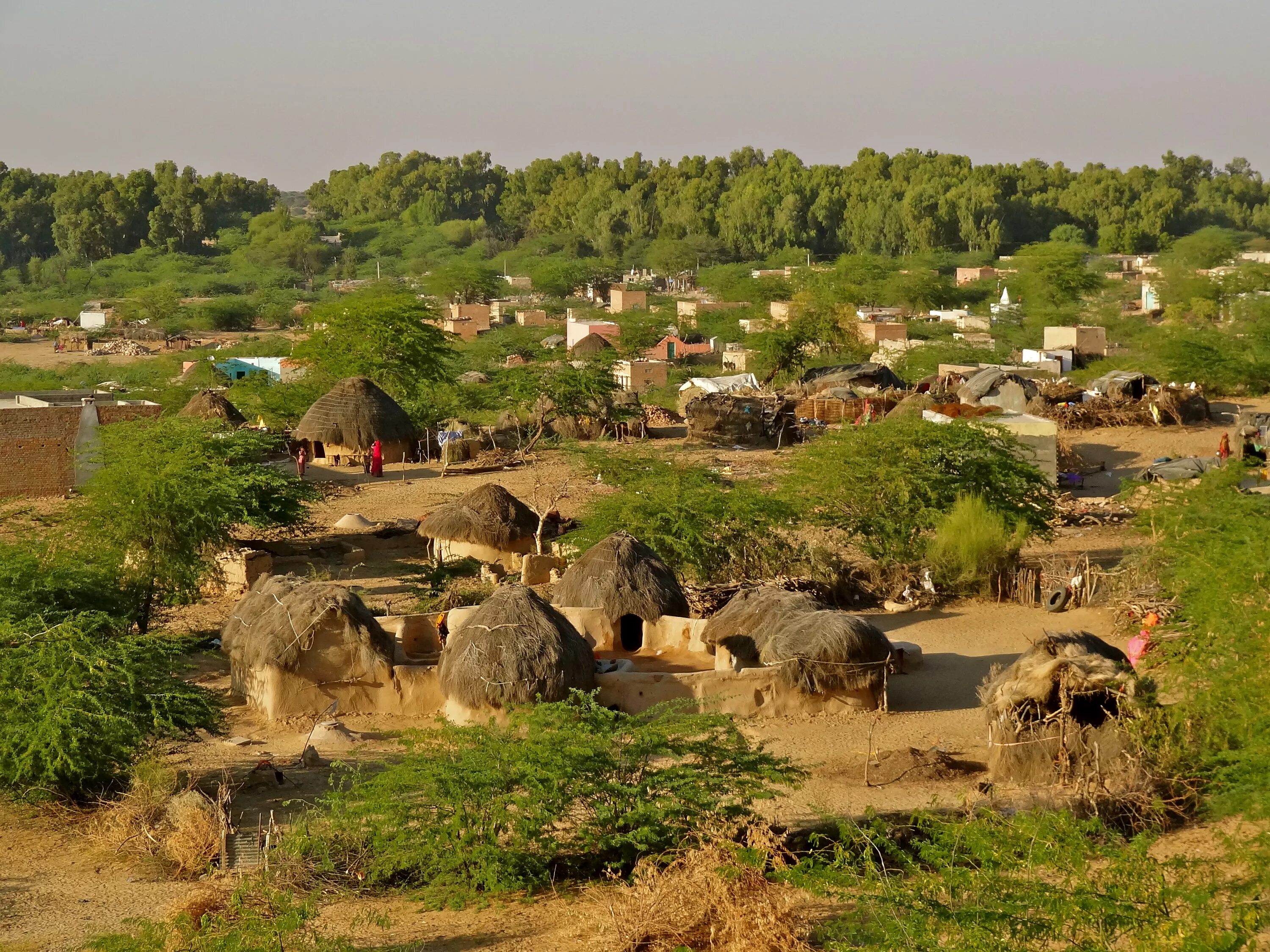 Met village. Деревня Сундер Индия. Поселение Индии деревни Дандака. Деревни Раджастхана. Индия Сельская местность.